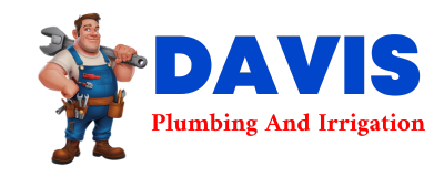 Trusted plumber in MOORES HILL